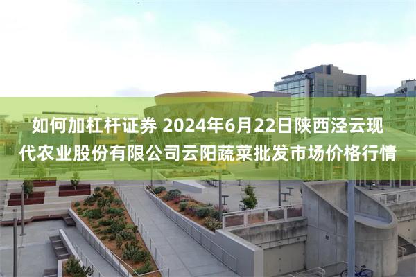 如何加杠杆证券 2024年6月22日陕西泾云现代农业股份有限公司云阳蔬菜批发市场价格行情