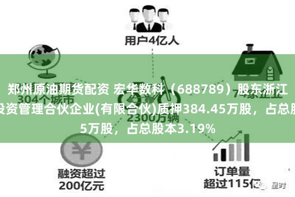 郑州原油期货配资 宏华数科（688789）股东浙江新湖智脑投资管理合伙企业(有限合伙)质押384.45万股，占总股本3.19%