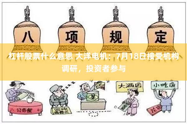 杠杆股票什么意思 大洋电机：7月18日接受机构调研，投资者参与