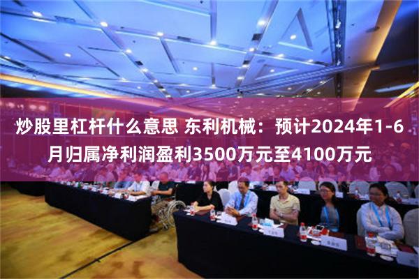 炒股里杠杆什么意思 东利机械：预计2024年1-6月归属净利润盈利3500万元至4100万元