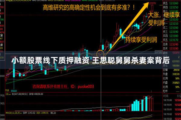 小额股票线下质押融资 王思聪舅舅杀妻案背后