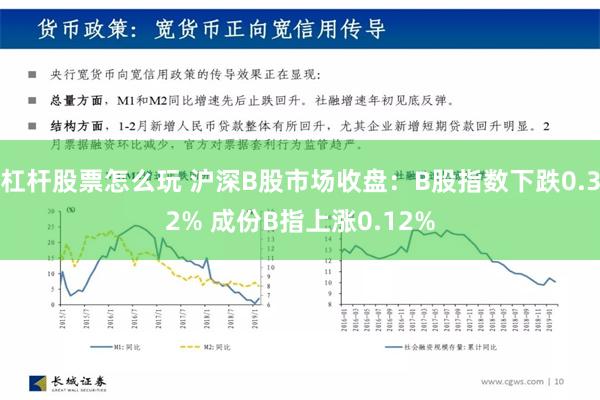 杠杆股票怎么玩 沪深B股市场收盘：B股指数下跌0.32% 成份B指上涨0.12%