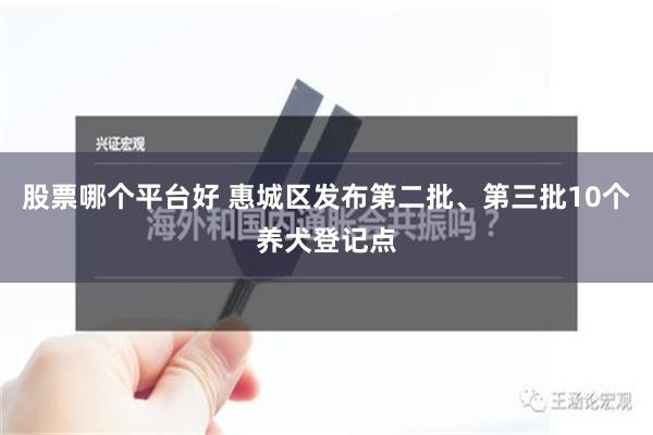 股票哪个平台好 惠城区发布第二批、第三批10个养犬登记点