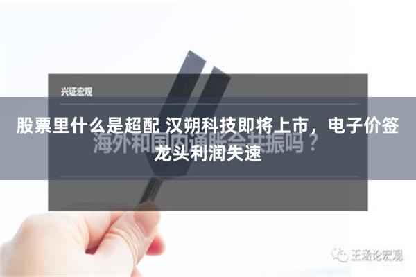 股票里什么是超配 汉朔科技即将上市，电子价签龙头利润失速