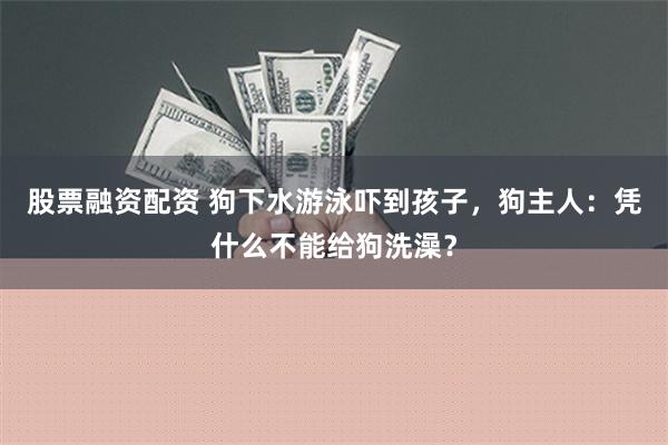 股票融资配资 狗下水游泳吓到孩子，狗主人：凭什么不能给狗洗澡？