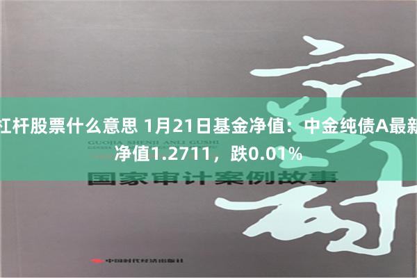 杠杆股票什么意思 1月21日基金净值：中金纯债A最新净值1.2711，跌0.01%